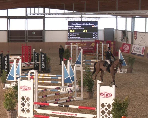 Reitturnier Westbarthausen 2025