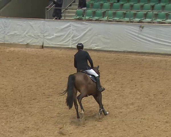 Reitturnier Kreuth 2025