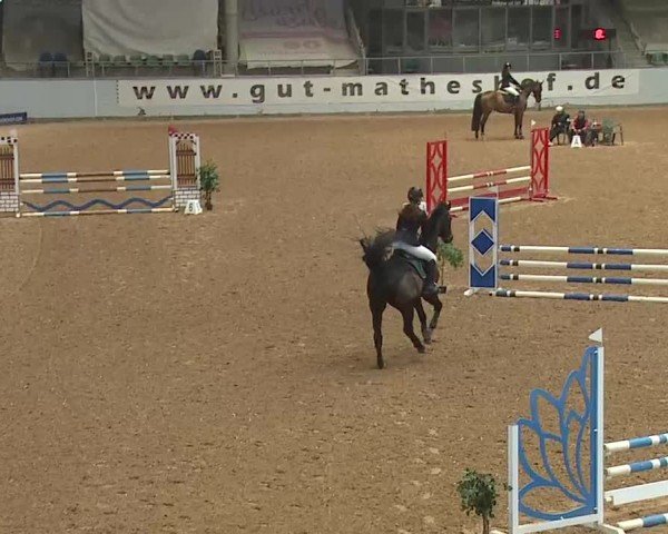 Reitturnier Kreuth 2025