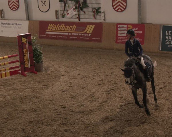 Reitturnier Westbarthausen 2025