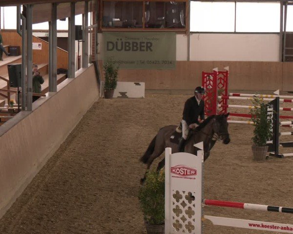 Reitturnier Westbarthausen 2025