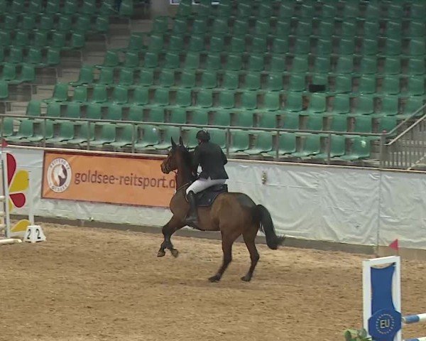Reitturnier Kreuth 2025