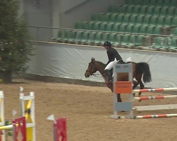 Reitturnier Kreuth 2025