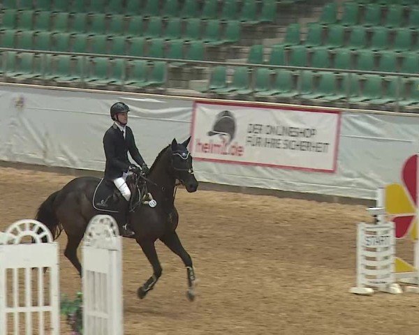 Reitturnier Kreuth 2025