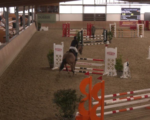 Reitturnier Westbarthausen 2025
