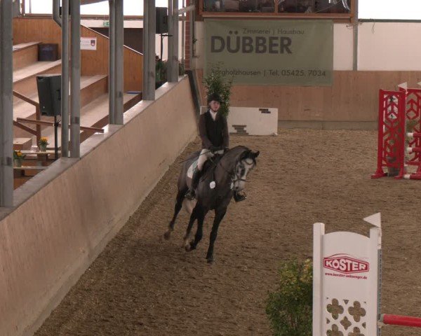 Reitturnier Westbarthausen 2025