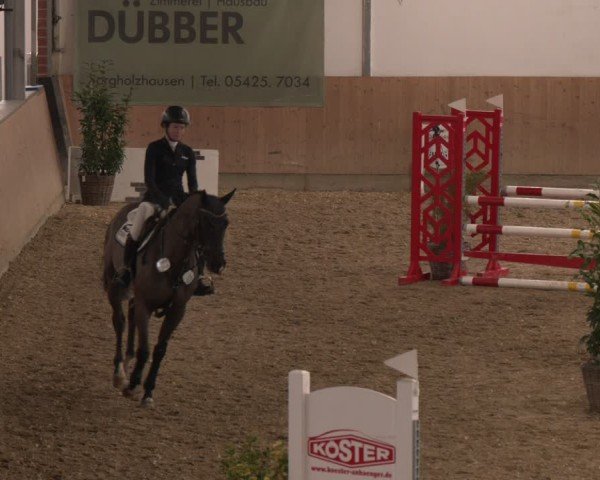 Reitturnier Westbarthausen 2025