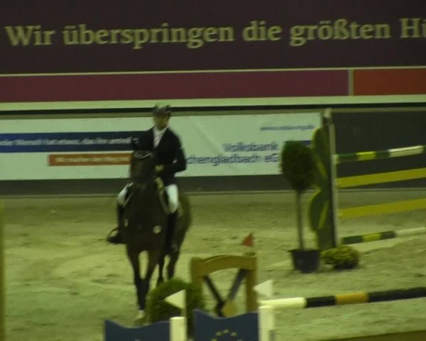 Reitturnier Mönchengladbach-Abtshof 2013