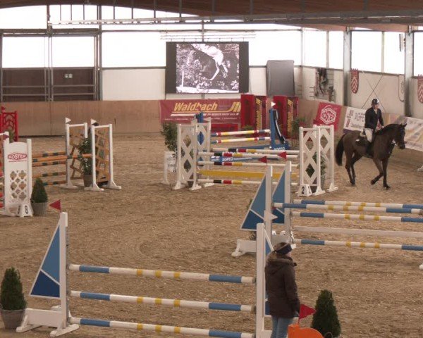 Reitturnier Westbarthausen 2025