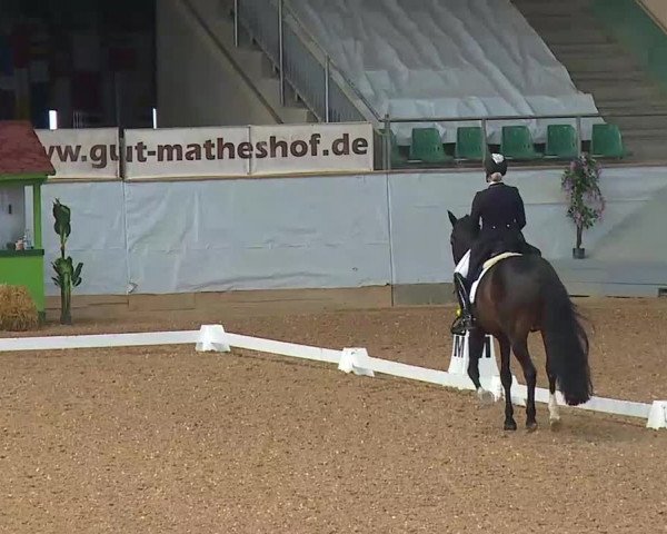 Reitturnier Kreuth/Opf. 2021