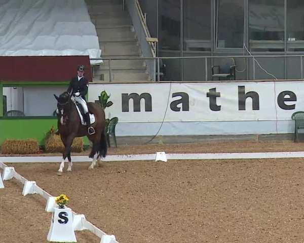 Reitturnier Kreuth/Opf. 2021