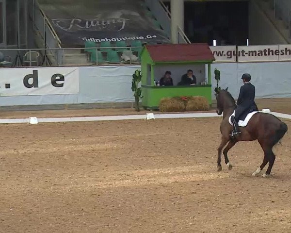 Reitturnier Kreuth/Opf. 2021
