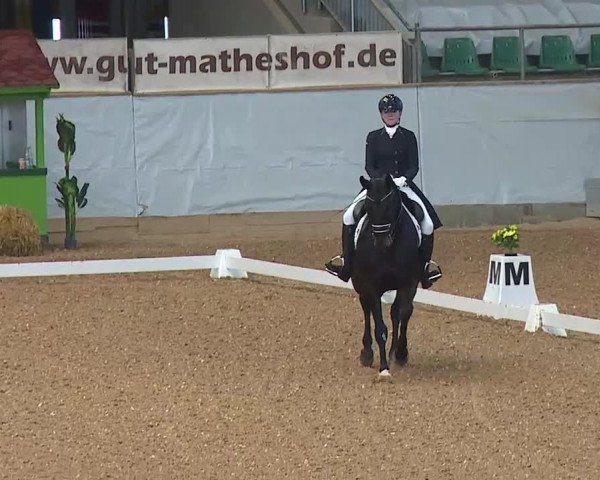 Reitturnier Kreuth/Opf. 2021