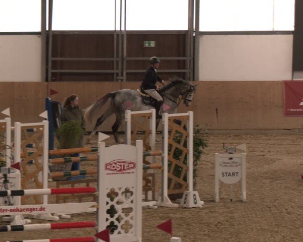 Reitturnier Westbarthausen 2025