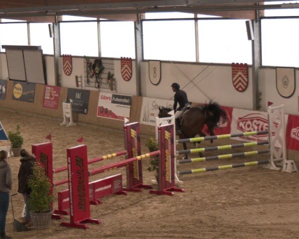 Reitturnier Westbarthausen 2025