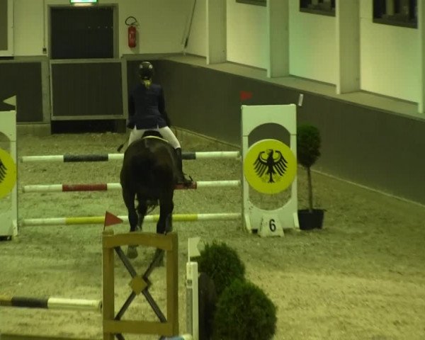 Springturnier auf dem Abtshof 2013