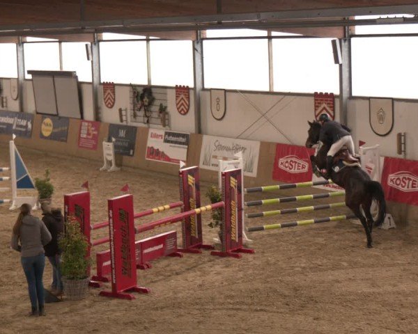 Reitturnier Westbarthausen 2025