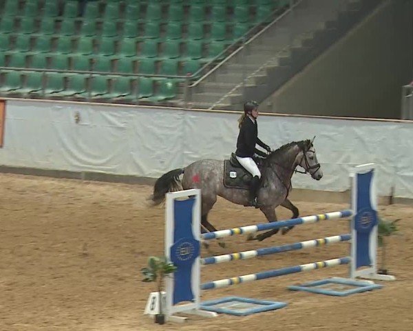 Reitturnier Kreuth 2025