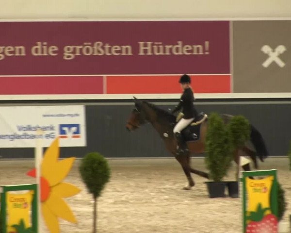 Springturnier auf dem Abtshof 2013