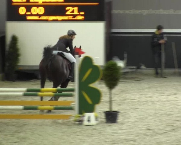 Springturnier auf dem Abtshof 2013
