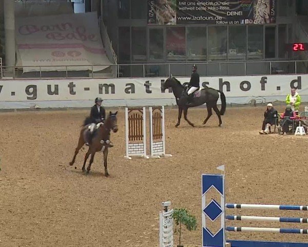 Reitturnier Kreuth 2025