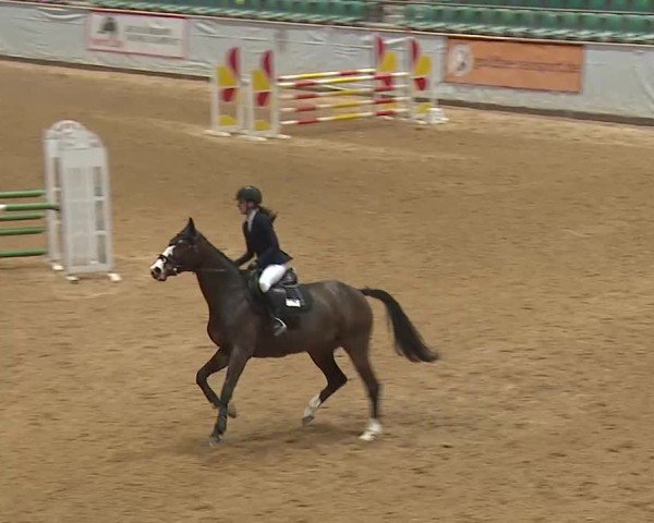 Reitturnier Kreuth 2025