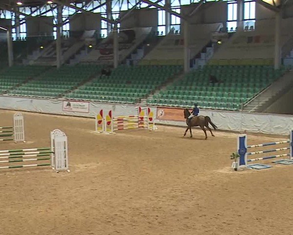 Reitturnier Kreuth 2025