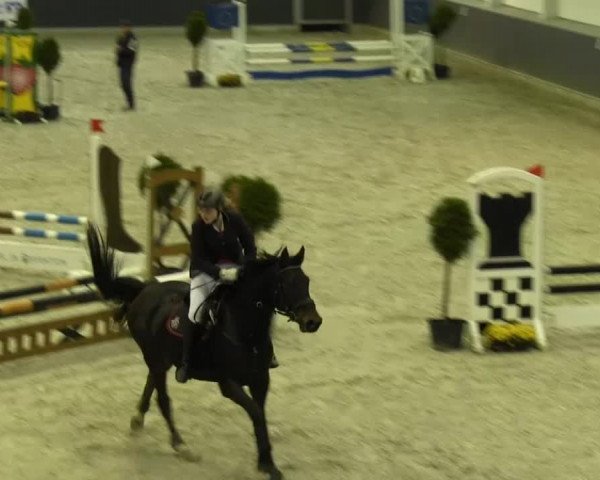 Springturnier auf dem Abtshof 2013