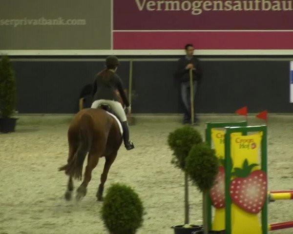 Springturnier auf dem Abtshof 2013
