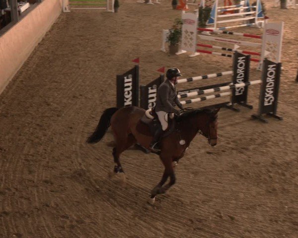 Reitturnier Westbarthausen 2025