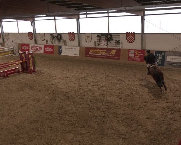Reitturnier Westbarthausen 2025