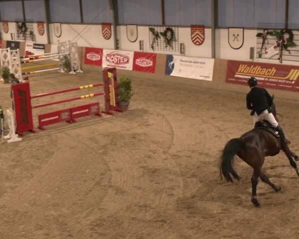 Reitturnier Westbarthausen 2025