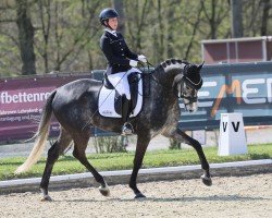 dressage horse Four Rocks (Hanoverian, 2018, from Fürstenball)