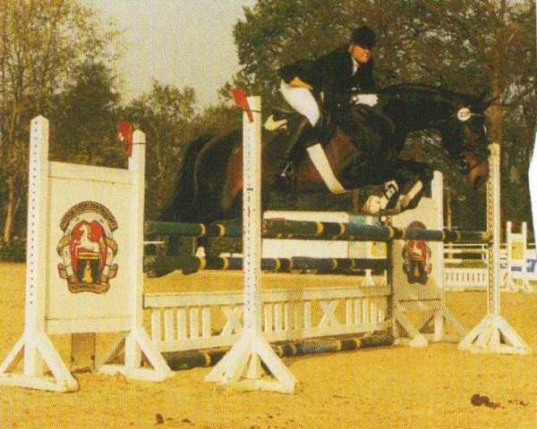 jumper Gwyneth 2 (Oldenburg, 1993, from Grundsee)