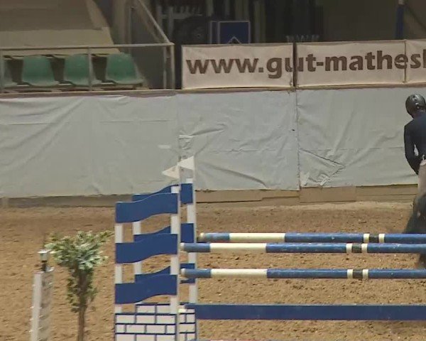Reitturnier Kreuth 2025