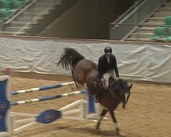 Reitturnier Kreuth 2025