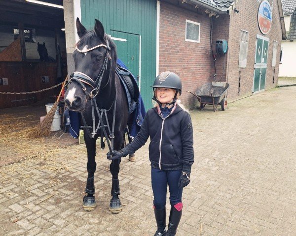 dressage horse Jeanne Dark (German Riding Pony, 2018, from Nadir vom Splitting WE)