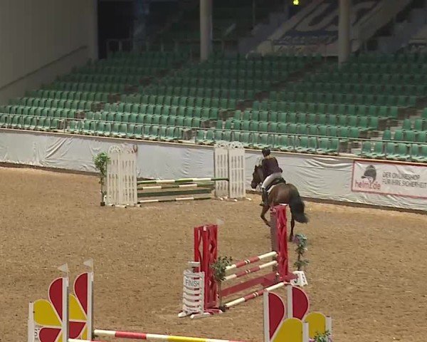 Reitturnier Kreuth 2025