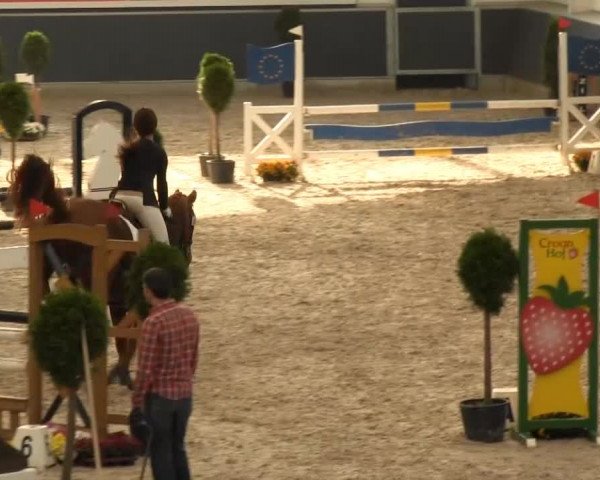 Springturnier auf dem Abtshof 2013