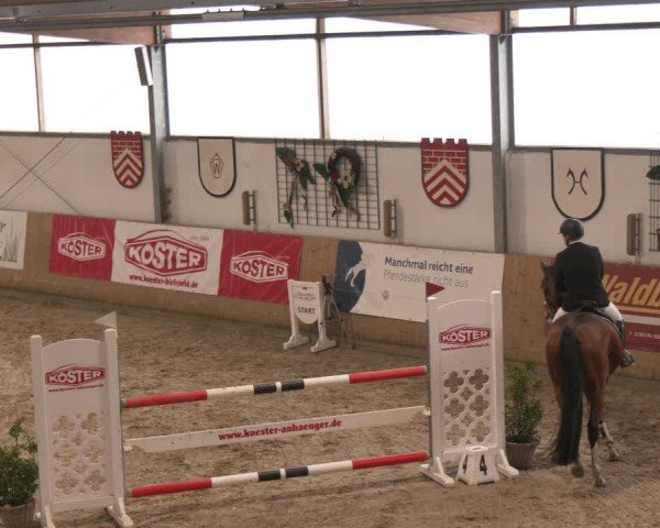 Reitturnier Westbarthausen 2025