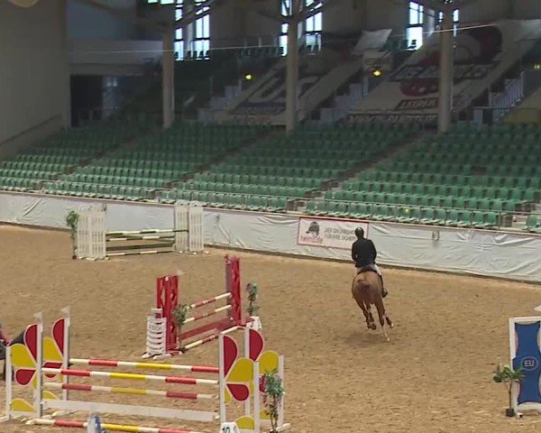 Reitturnier Kreuth 2025