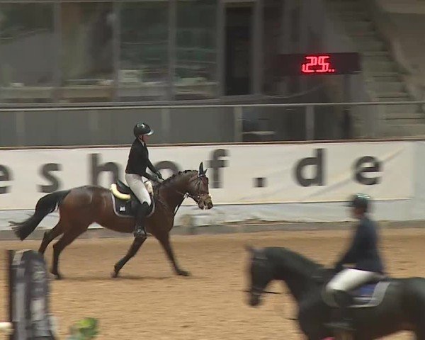 Reitturnier Kreuth 2025