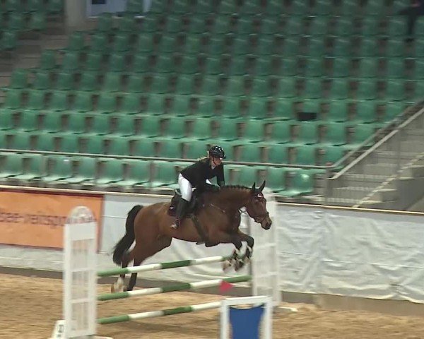 Reitturnier Kreuth 2025