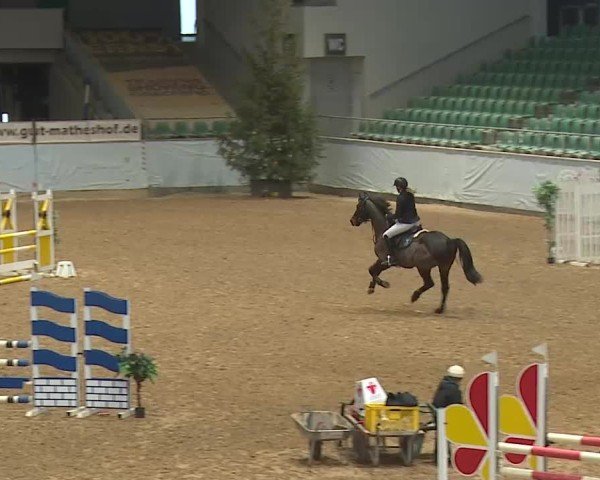Reitturnier Kreuth 2025