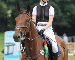 jumper Kalgara (Bulgarian Warmblood, 2013, from Quickly 2)