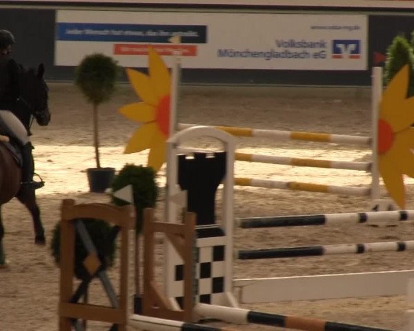 Springturnier auf dem Abtshof 2013
