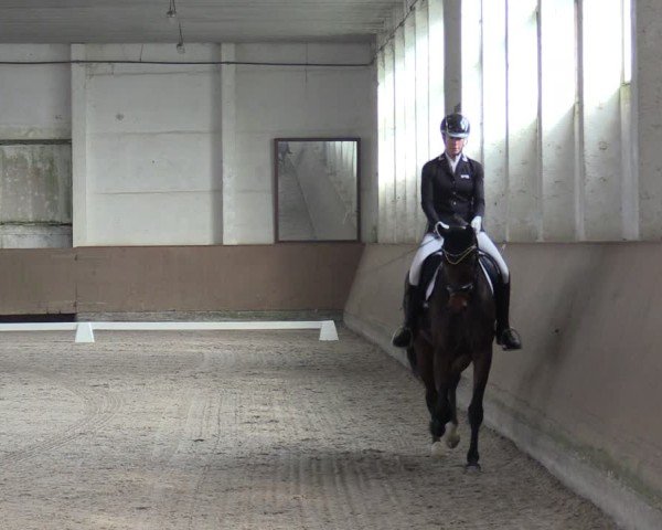 Reitturnier Prussendorf 2025