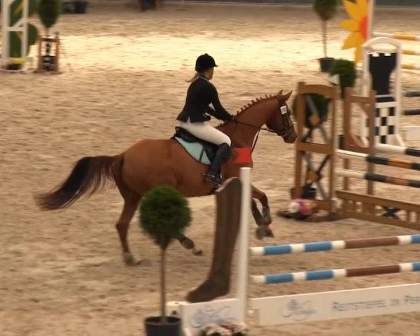 Springturnier auf dem Abtshof 2013