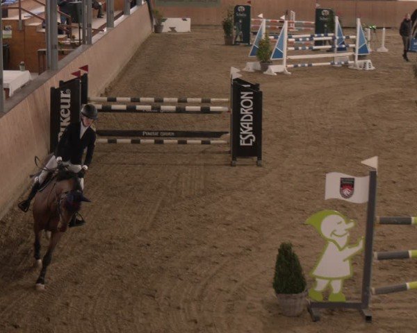 Reitturnier Westbarthausen 2025