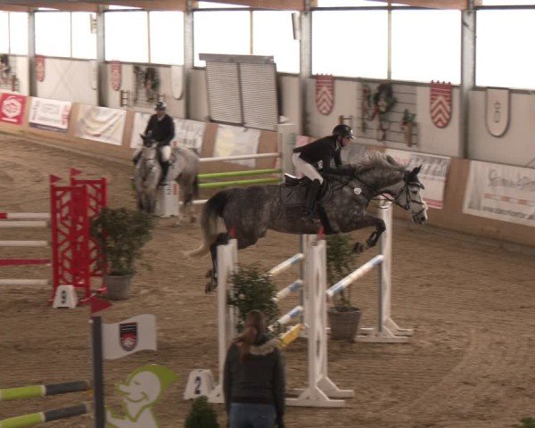 Reitturnier Westbarthausen 2025